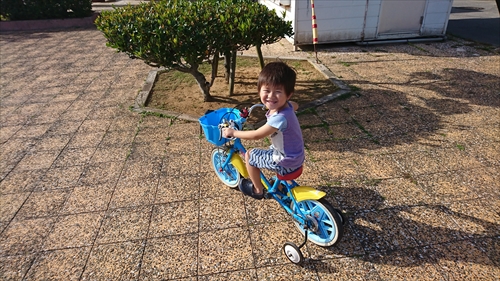 11日・ずっこけ5人組！